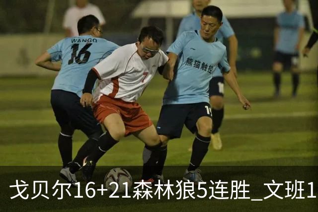 戈贝尔16+21森林狼5连胜 文班12+10马刺15连败
